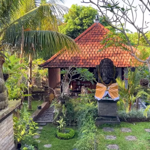 Bali (Budget friendly)